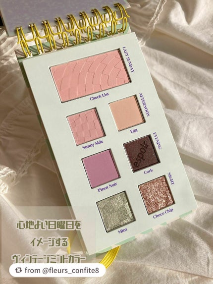2021 F/Wルックブックパレット/espoir/アイシャドウパレットを使ったクチコミ(3枚目)