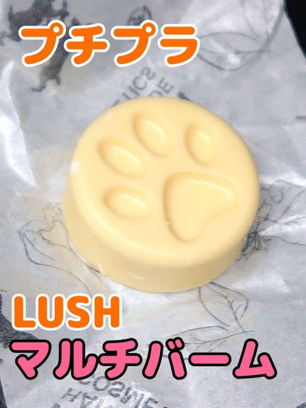 ラッシュ チャリティポット コインのクチコミ「🌟ラッシュ🌟チャリティポット コイン🌟
LUSHなのに160円!!
プチプラです~❣️
甘い.....」(1枚目)