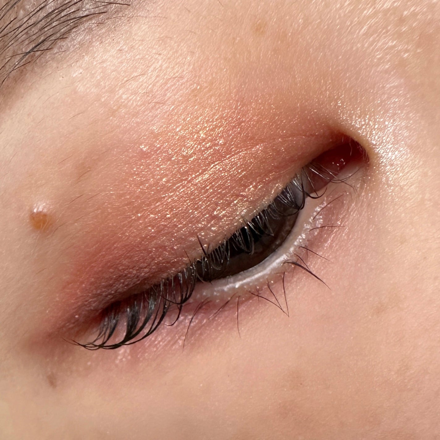 Eyeshadow 5 Colour Compacts/BYREDO/アイシャドウパレットを使ったクチコミ(4枚目)