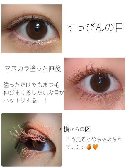 ラッシュエキスパンダー ロングロングロング EX/MAJOLICA MAJORCA/マスカラを使ったクチコミ(2枚目)