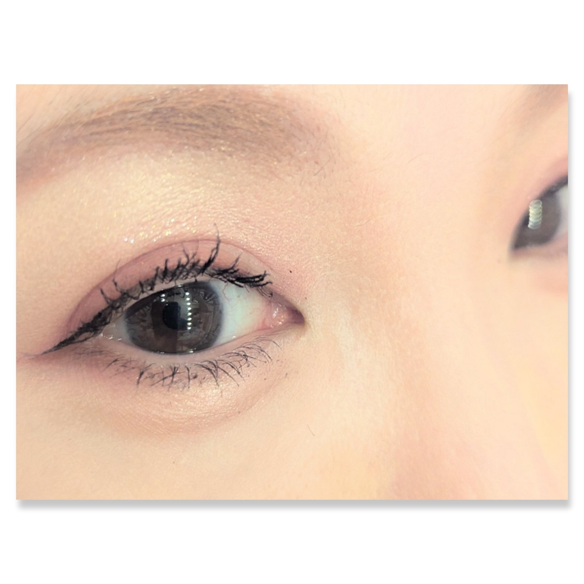 パーフェクトマルチアイズ/キャンメイク/アイシャドウパレットを使ったクチコミ（2枚目）