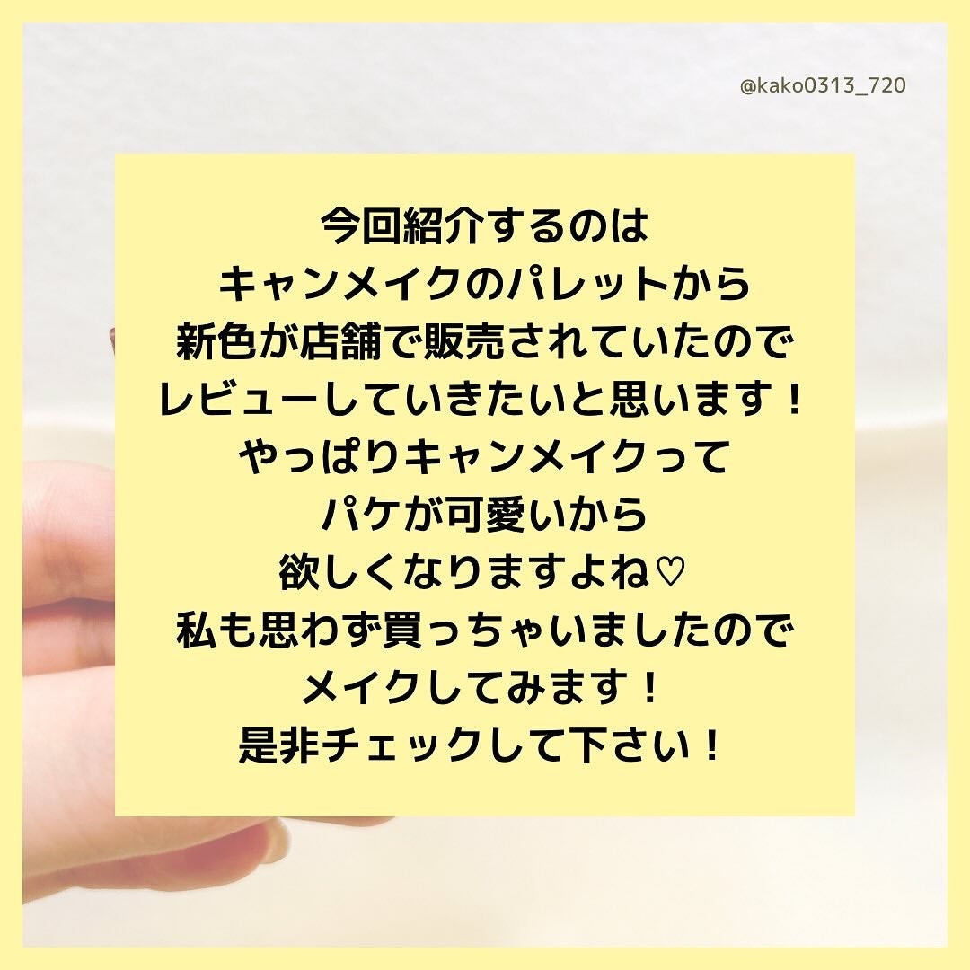 プティパレットアイズ(マットタイプ)/キャンメイク/パウダーアイシャドウを使ったクチコミ(2枚目)