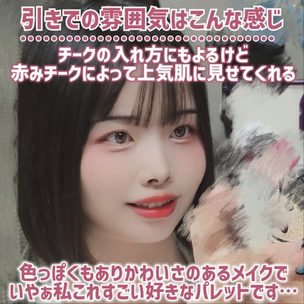 ウォンジョンヨ W デイリームードアップパレット /Wonjungyo/アイシャドウパレットを使ったクチコミ(10枚目)