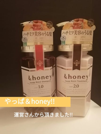 ディープモイスト シャンプー1.0/ヘアトリートメント2.0/&honey/市販シャンプーを使ったクチコミ(1枚目)