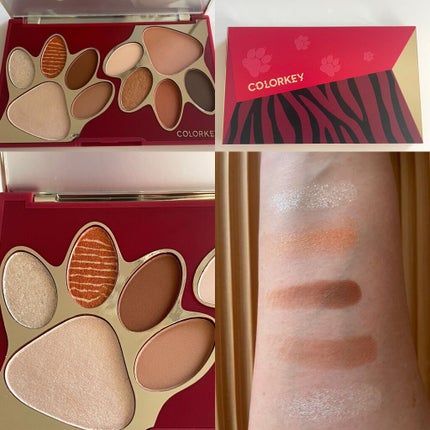 トラ十色アイシャドウパレット/COLORKEY/アイシャドウパレットを使ったクチコミ(3枚目)