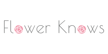 サーカスシリーズ グラデーションブラッシュ /FlowerKnows/パウダーチークを使ったクチコミ（2枚目）