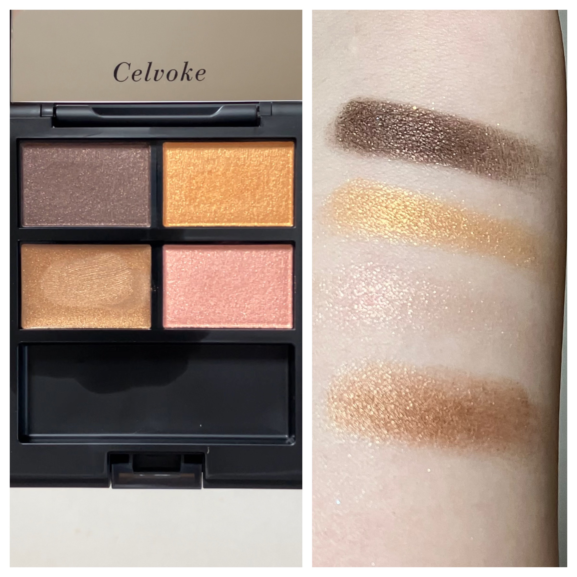 限定色レビュー】セルヴォーク ヴァティック アイパレット