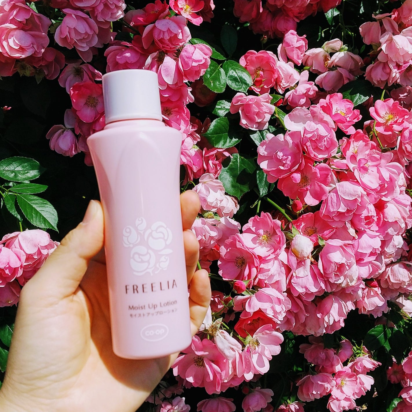 フリーリア モイストアップローションE /コープ/化粧水を使ったクチコミ(1枚目)