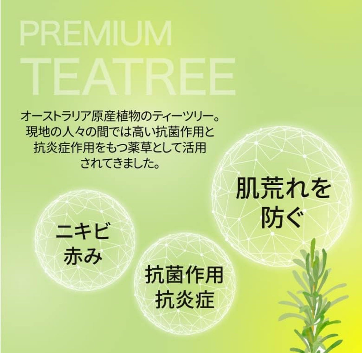 ダーマレーザー スーパーTEATREE100マスク/クオリティファースト/シートマスク・パックを使ったクチコミ(3枚目)