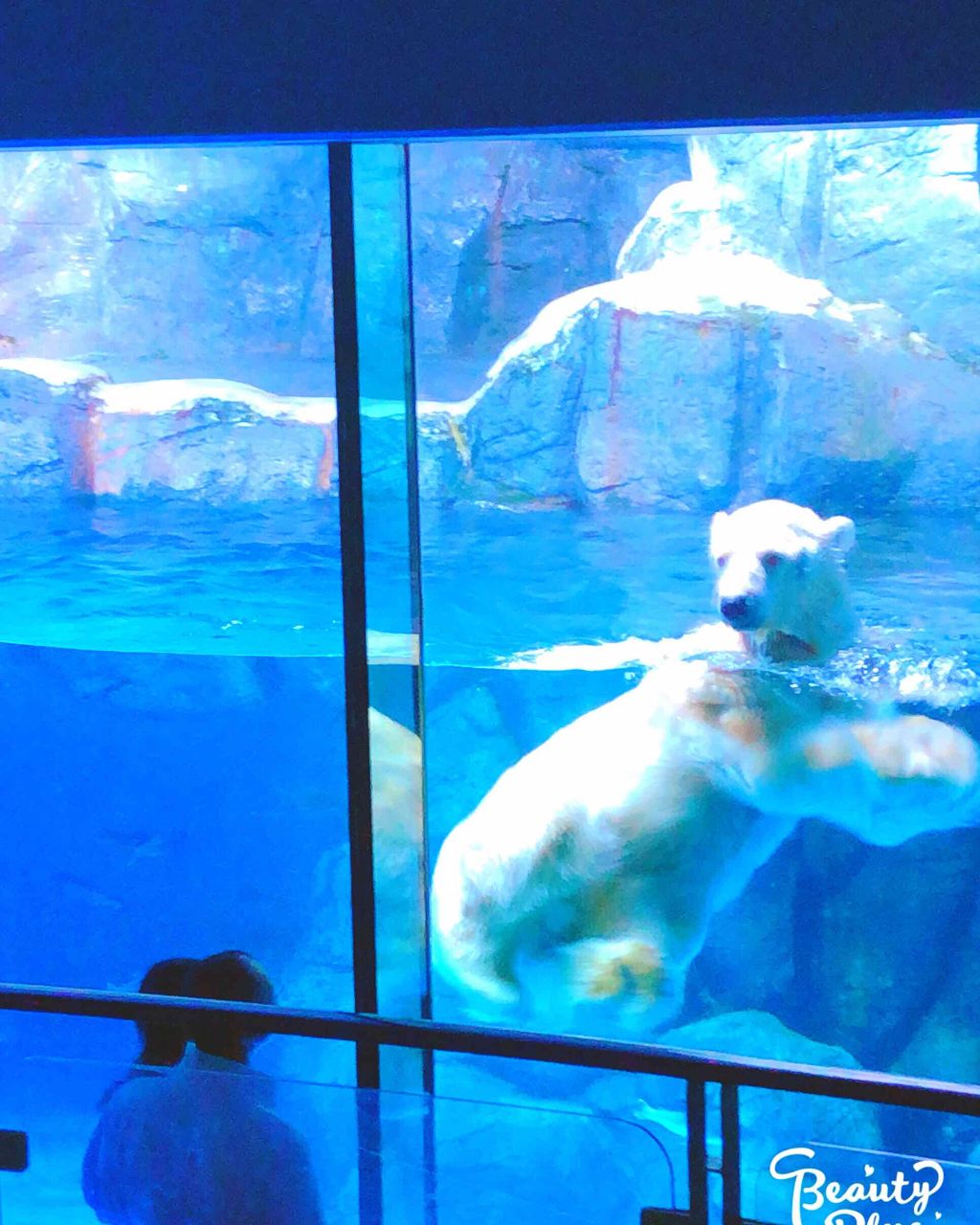 キールズ ウォータークリームCL/Kiehl's/フェイスクリームを使ったクチコミ（2枚目）