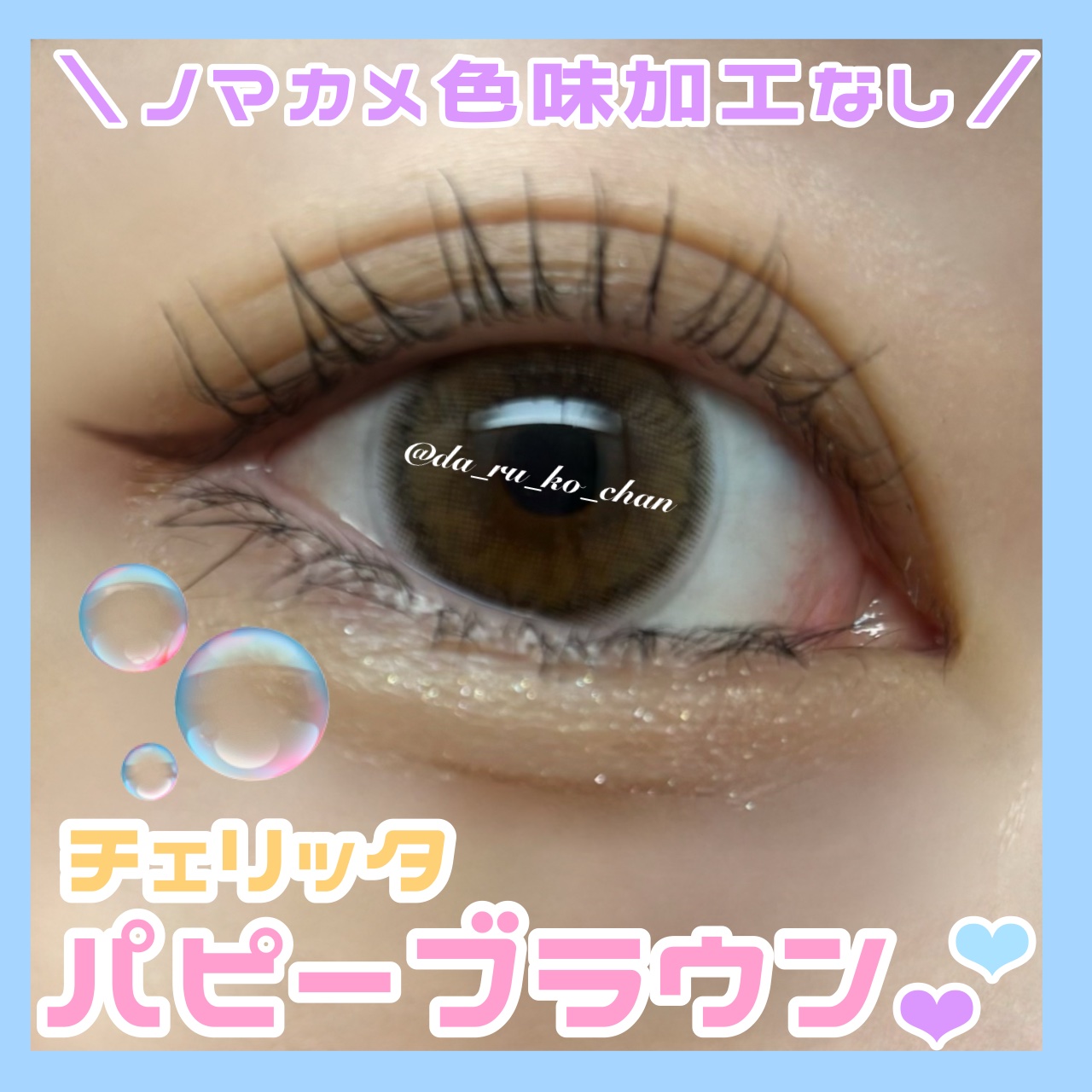 Cheritta 1day パピーブラウン(Puppy Brown)/Cheritta/ワンデー（１DAY）カラコンを使ったクチコミ（1枚目）