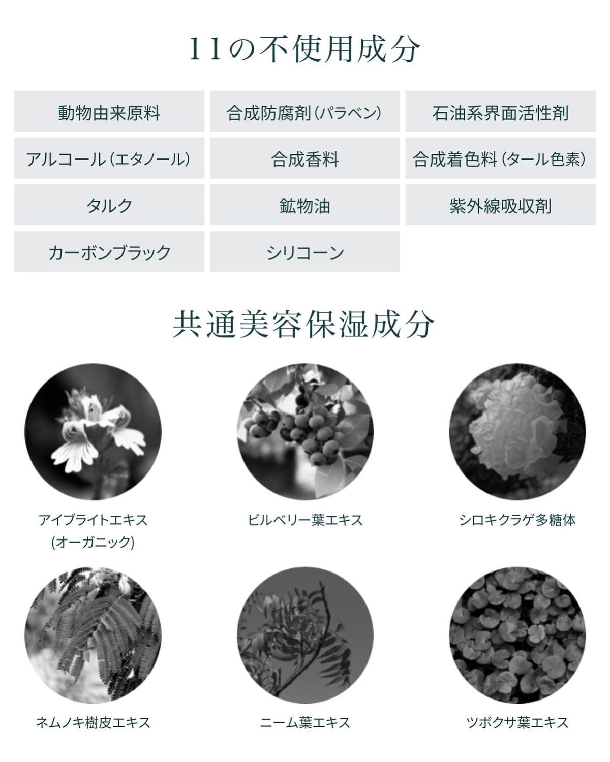 misato | VoCEアンバサダー on LIPS 「敏感肌の人におすすめ✨目元ケアしながらアイメイクができちゃうア..」(4枚目)