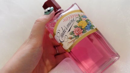 オイデルミン(N)/SHISEIDO/化粧水を使ったクチコミ(2枚目)