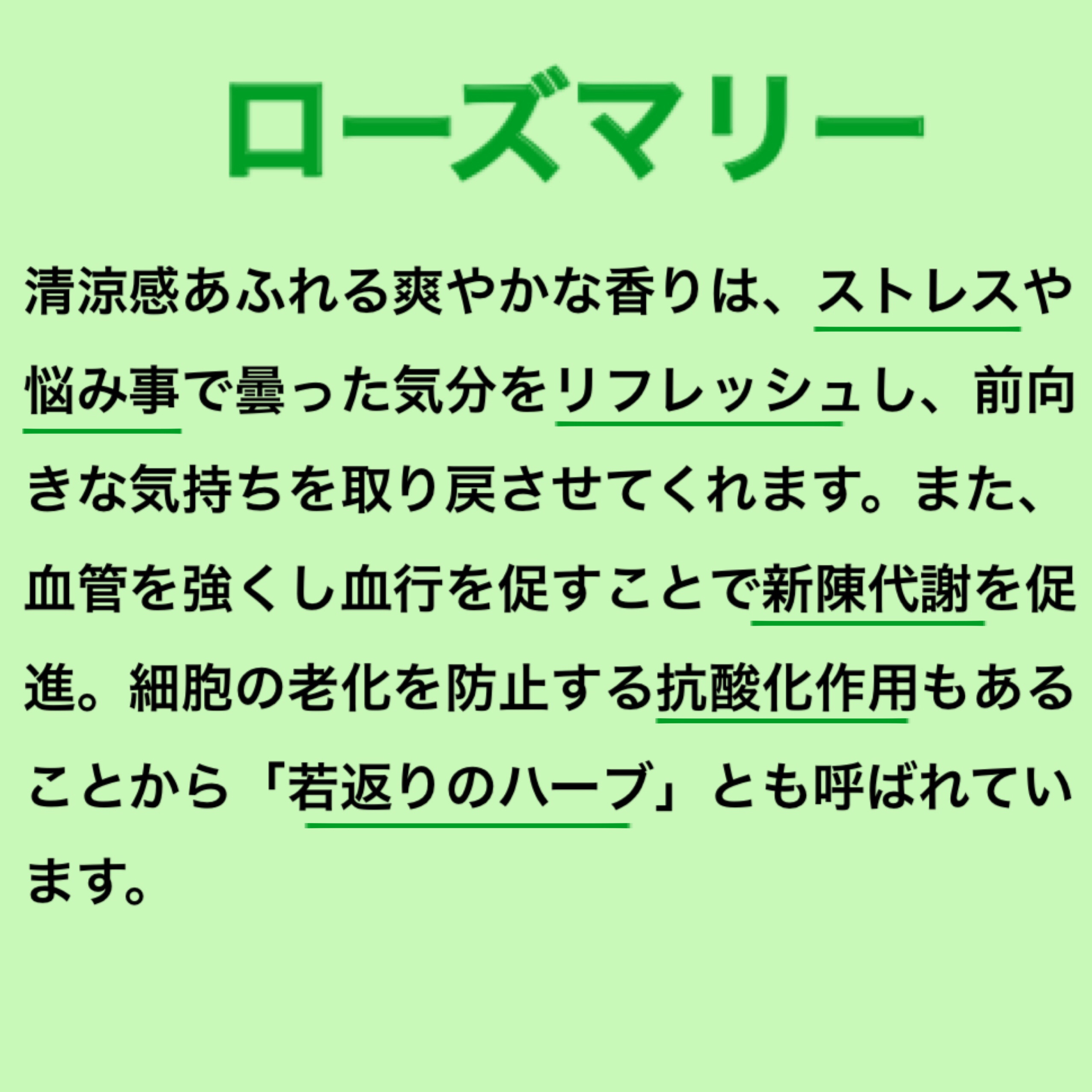バスソルト ローズマリー＆タイムの香り/クナイプ/無機塩系入浴剤を使ったクチコミ（3枚目）