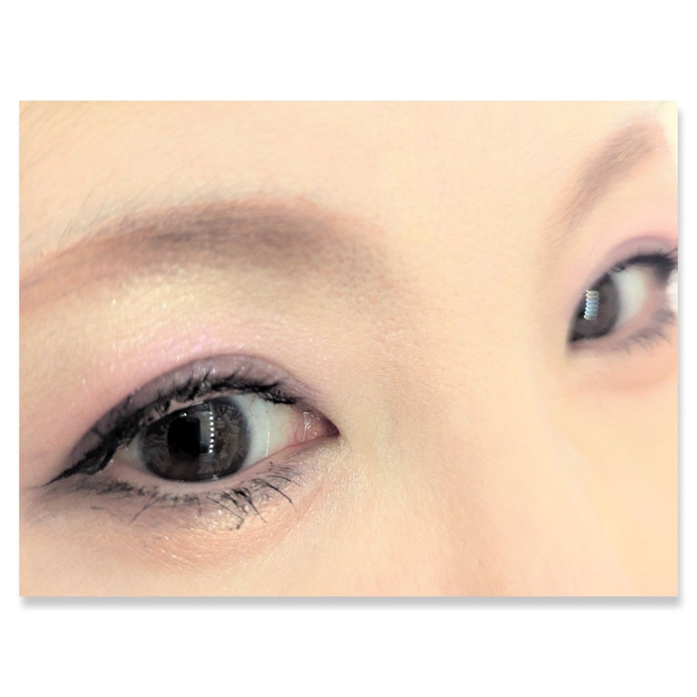 シーズナルブレンディングアイシャドウパレット/Peach C/アイシャドウパレットを使ったクチコミ(2枚目)