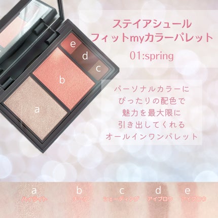 フィット my カラーパレット/STEIASUR(ステイアシュール)/マルチパレットを使ったクチコミ(2枚目)