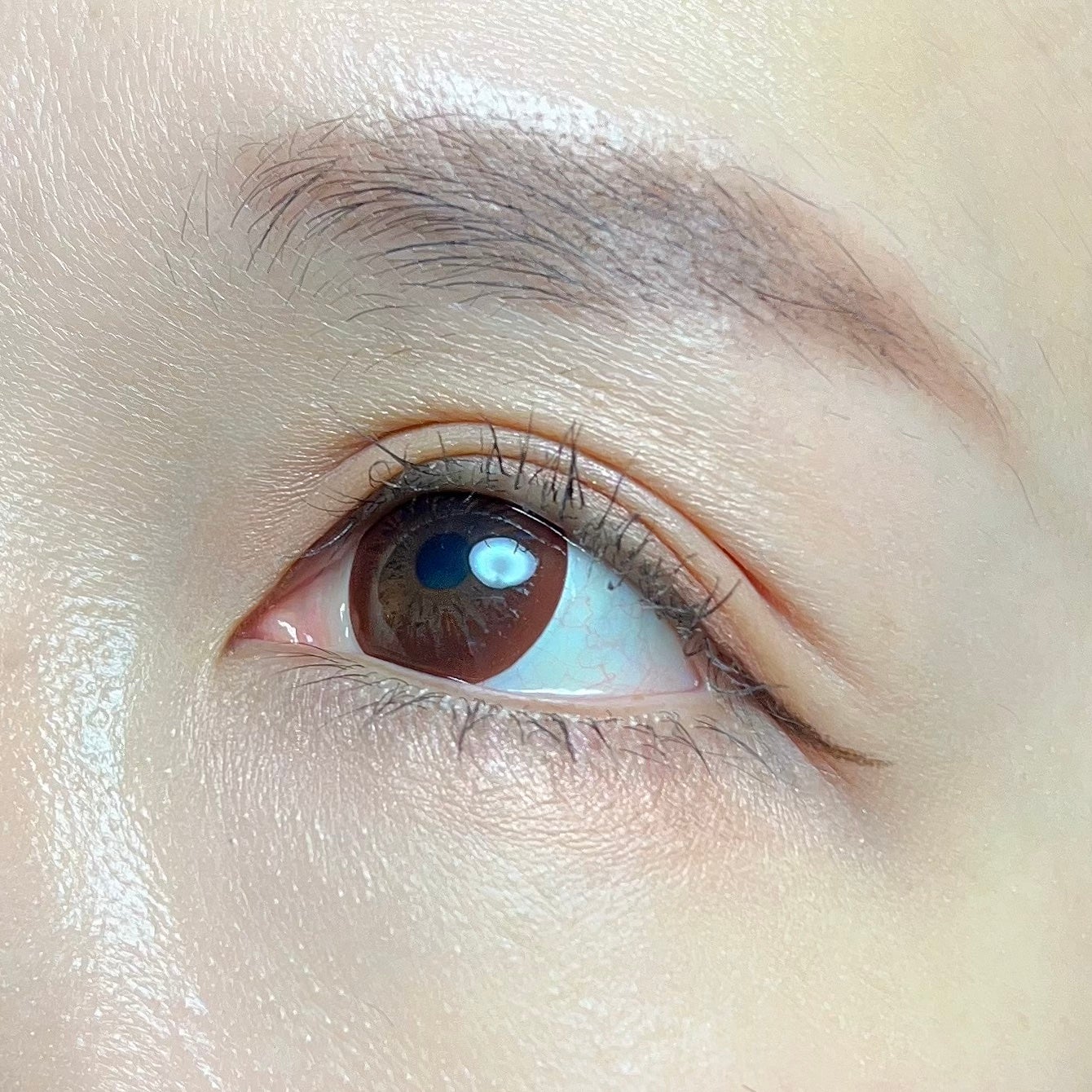 デザイニングブラウンアイズ/KATE/アイシャドウパレットを使ったクチコミ(4枚目)