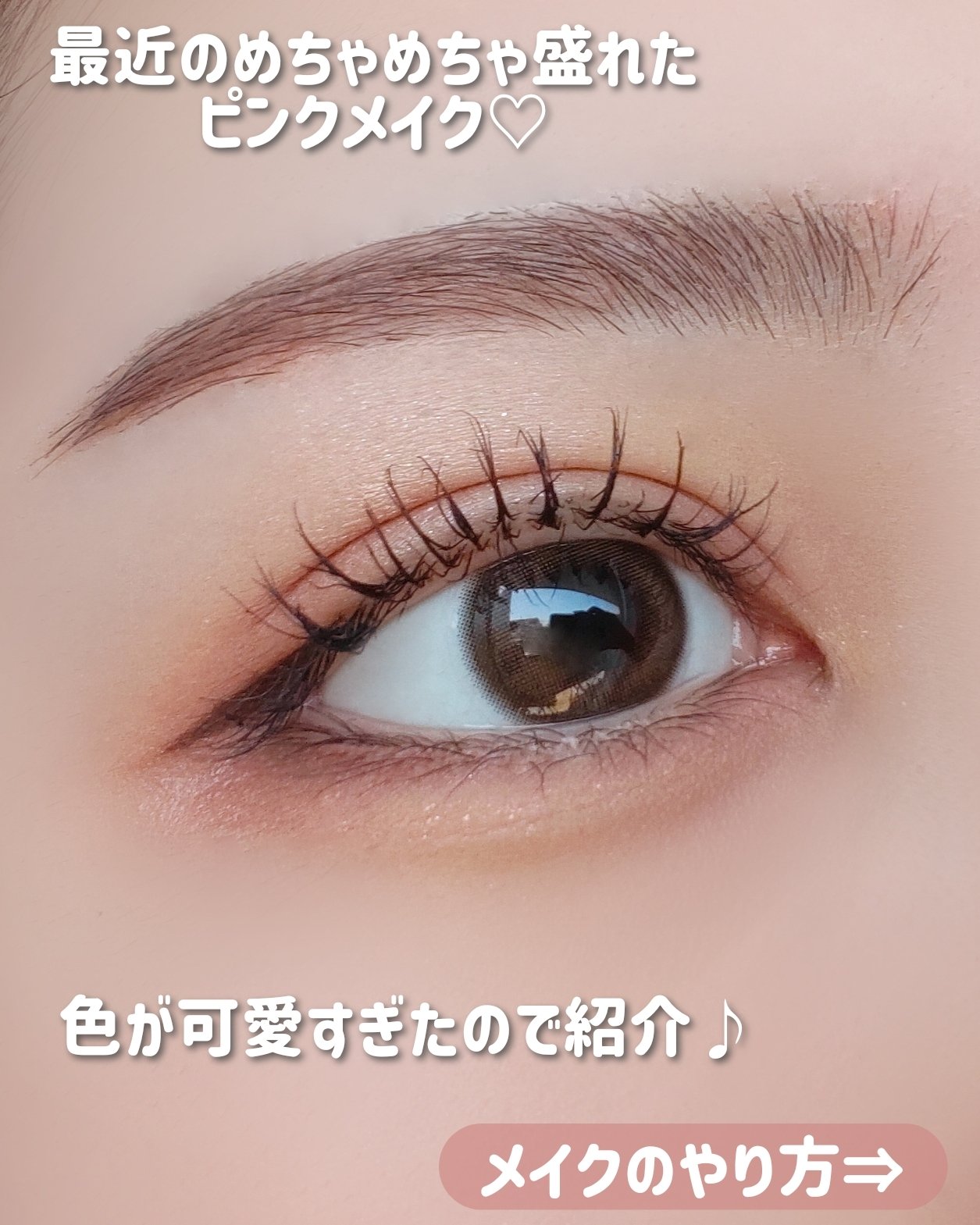 アイカラーパレット/heme/アイシャドウパレットを使ったクチコミ（2枚目）