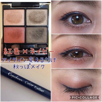 エスポルールカラーアイライナー/エスポルール/リキッドアイライナーを使ったクチコミ(1枚目)