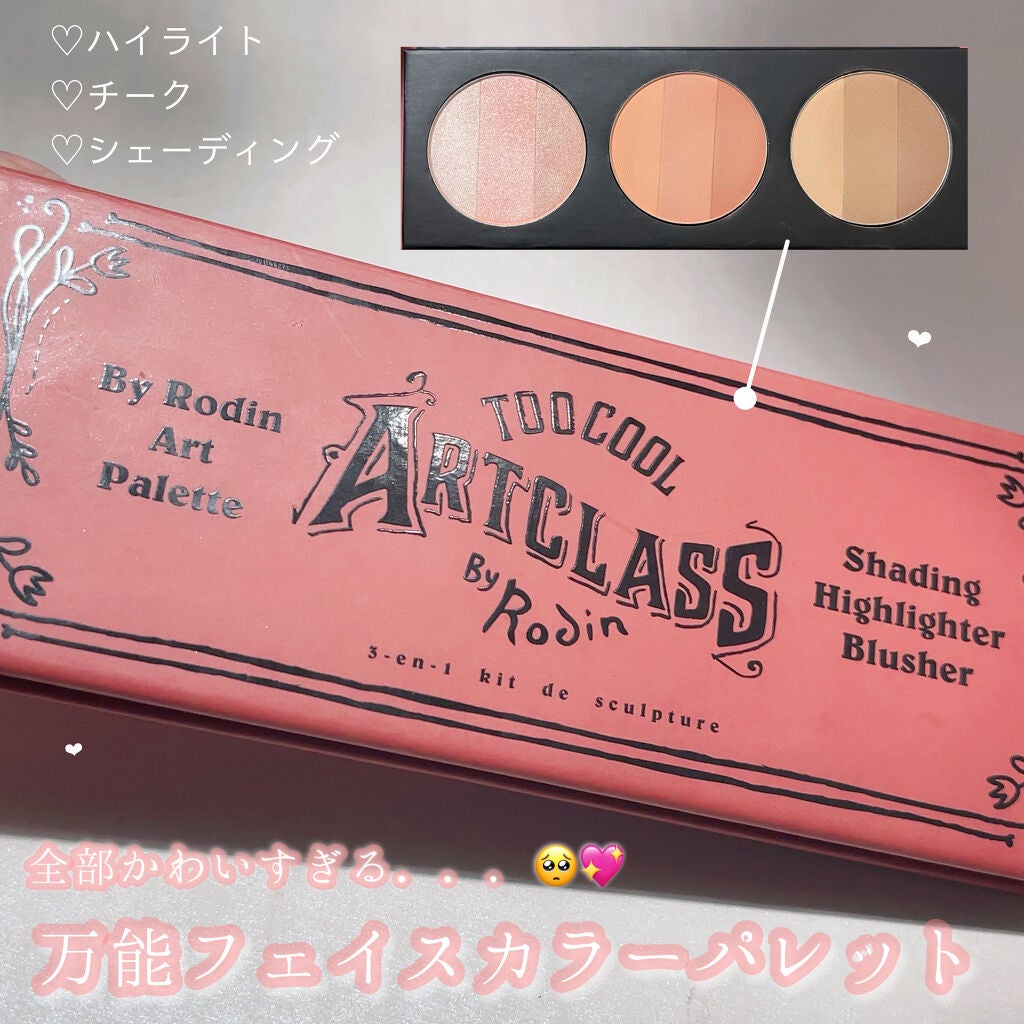 バイロダン アートパレットⅡ/too cool for school/メイクアップキットを使ったクチコミ(1枚目)