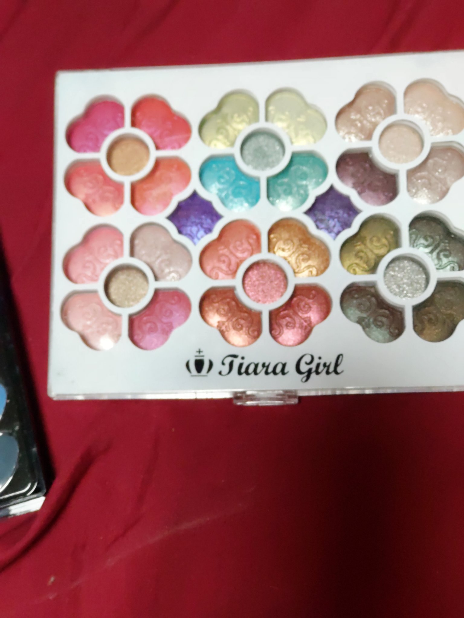 アイカラーパレット/ティアラガール/アイシャドウパレットを使ったクチコミ（3枚目）