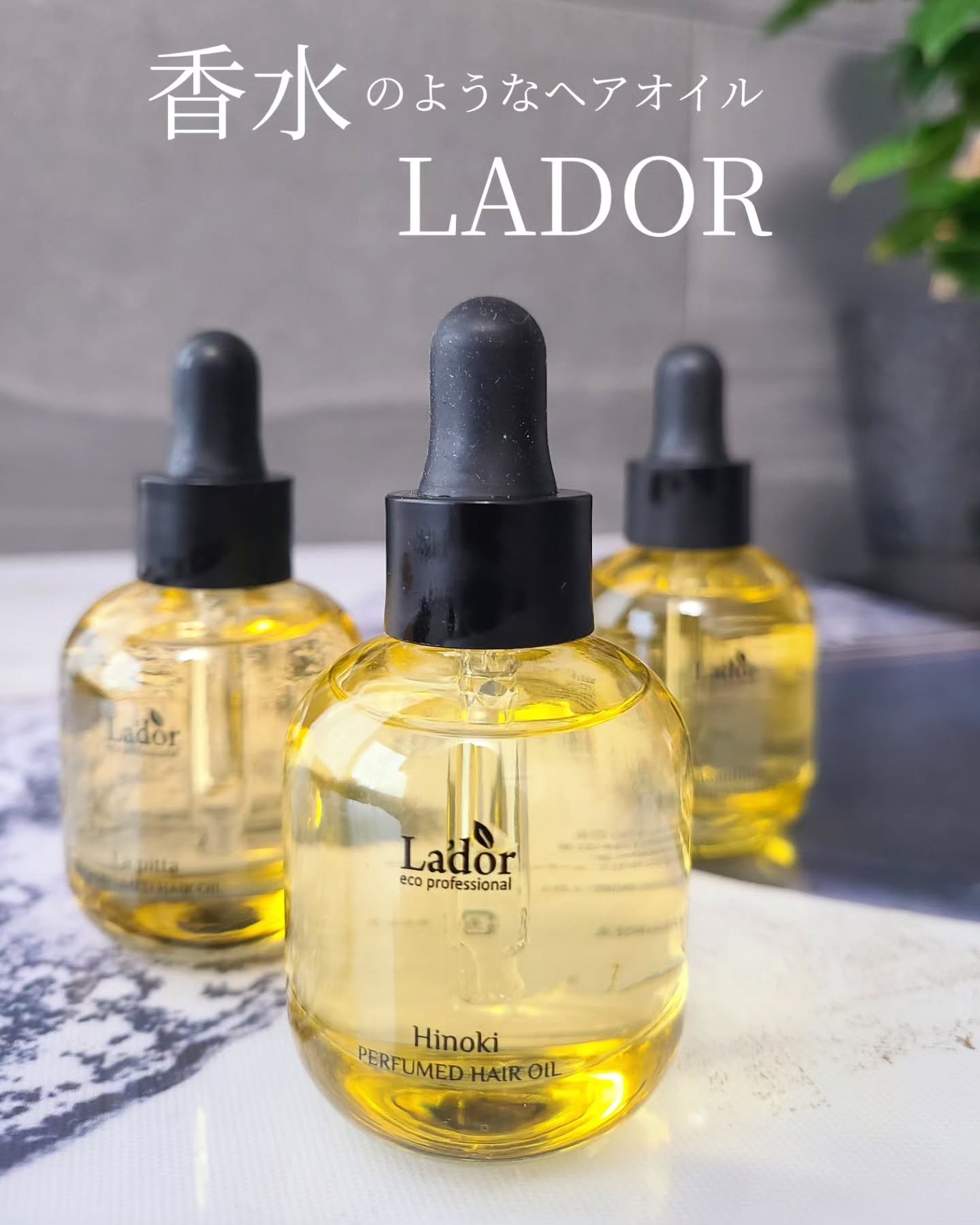 パフュームヘアオイル ラピタ/La'dor/ヘアオイルを使ったクチコミ（1枚目）