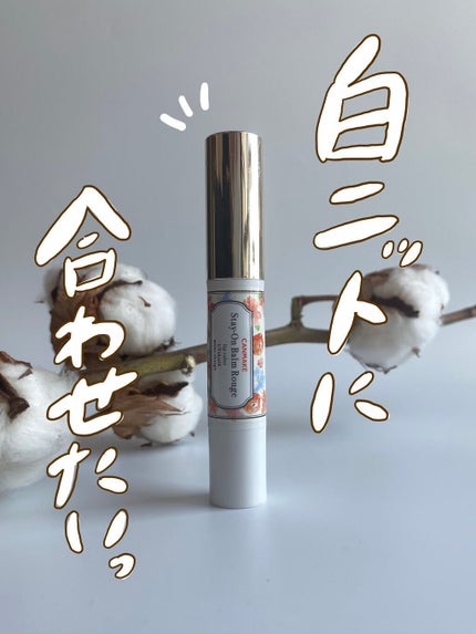 ステイオンバームルージュ/キャンメイク/口紅を使ったクチコミ(1枚目)