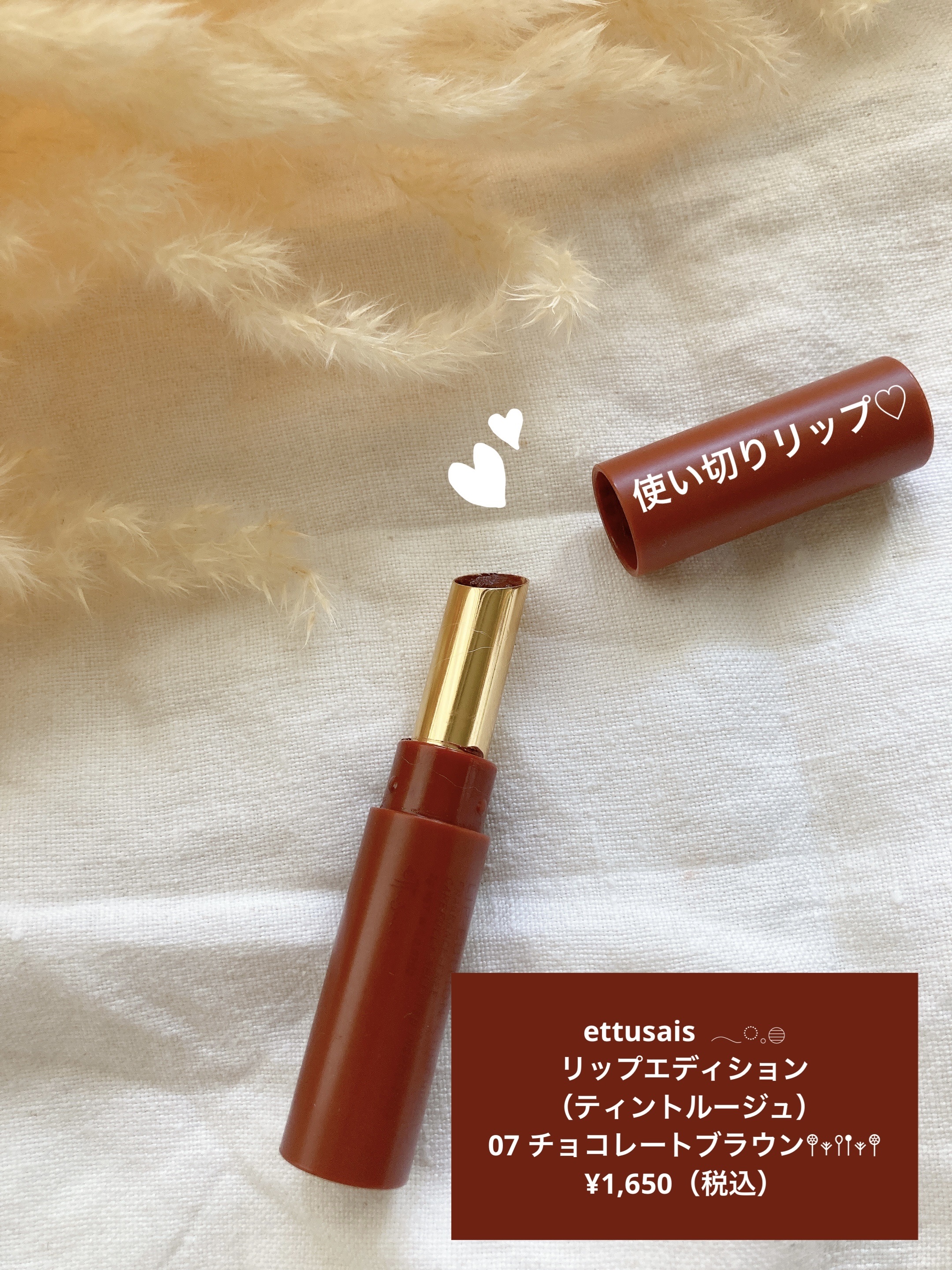 エテュセ リップエディション(ティントルージュ) 07 チョコレートブラウン/ettusais/リップティントを使ったクチコミ（1枚目）