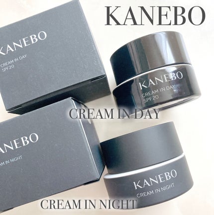 クリーム イン デイ/KANEBO/フェイスクリームを使ったクチコミ(2枚目)