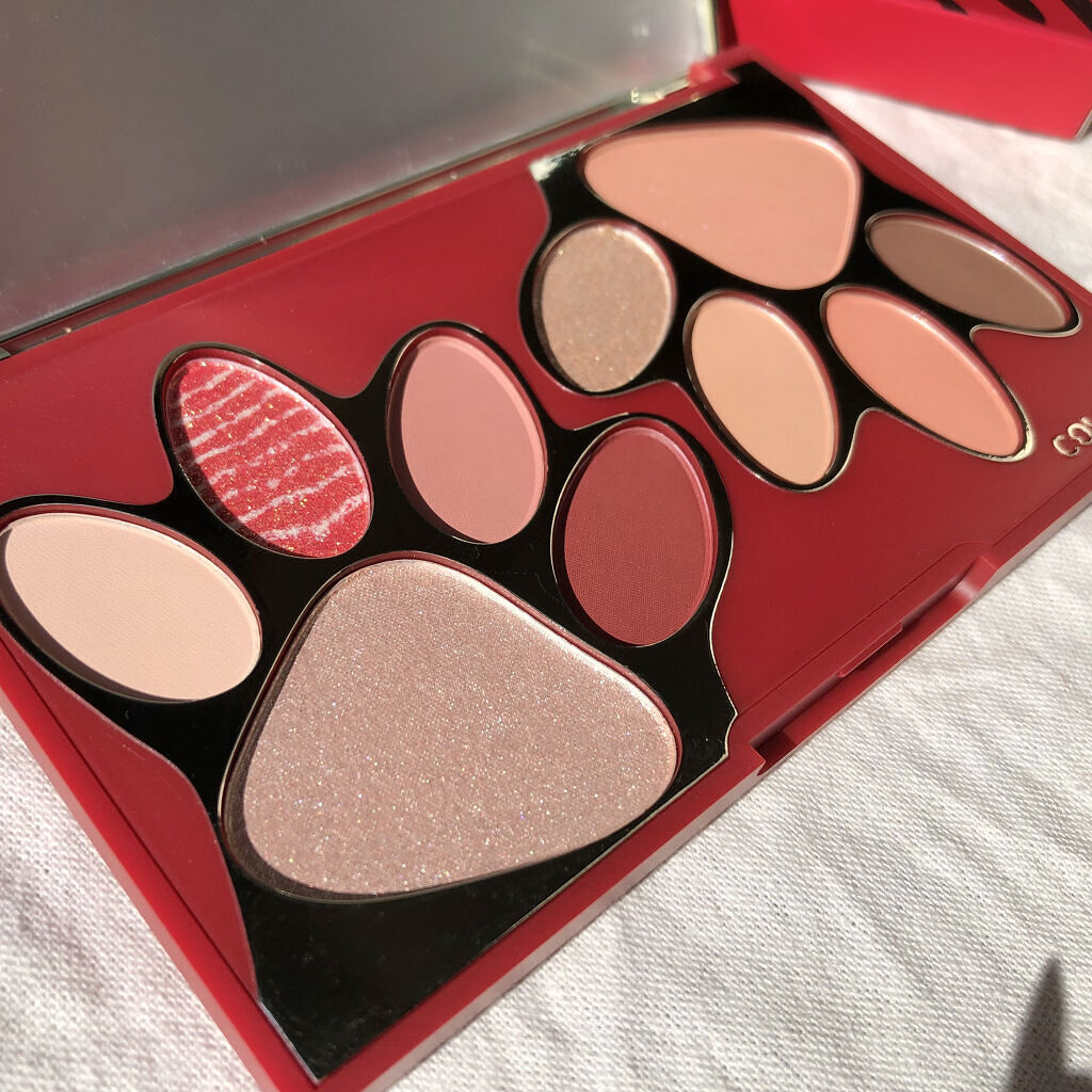 トラ十色アイシャドウパレット/COLORKEY/アイシャドウパレットを使ったクチコミ（3枚目）