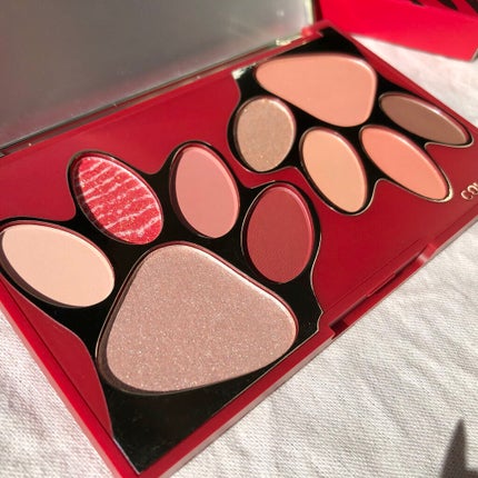 トラ十色アイシャドウパレット/COLORKEY/アイシャドウパレットを使ったクチコミ(3枚目)