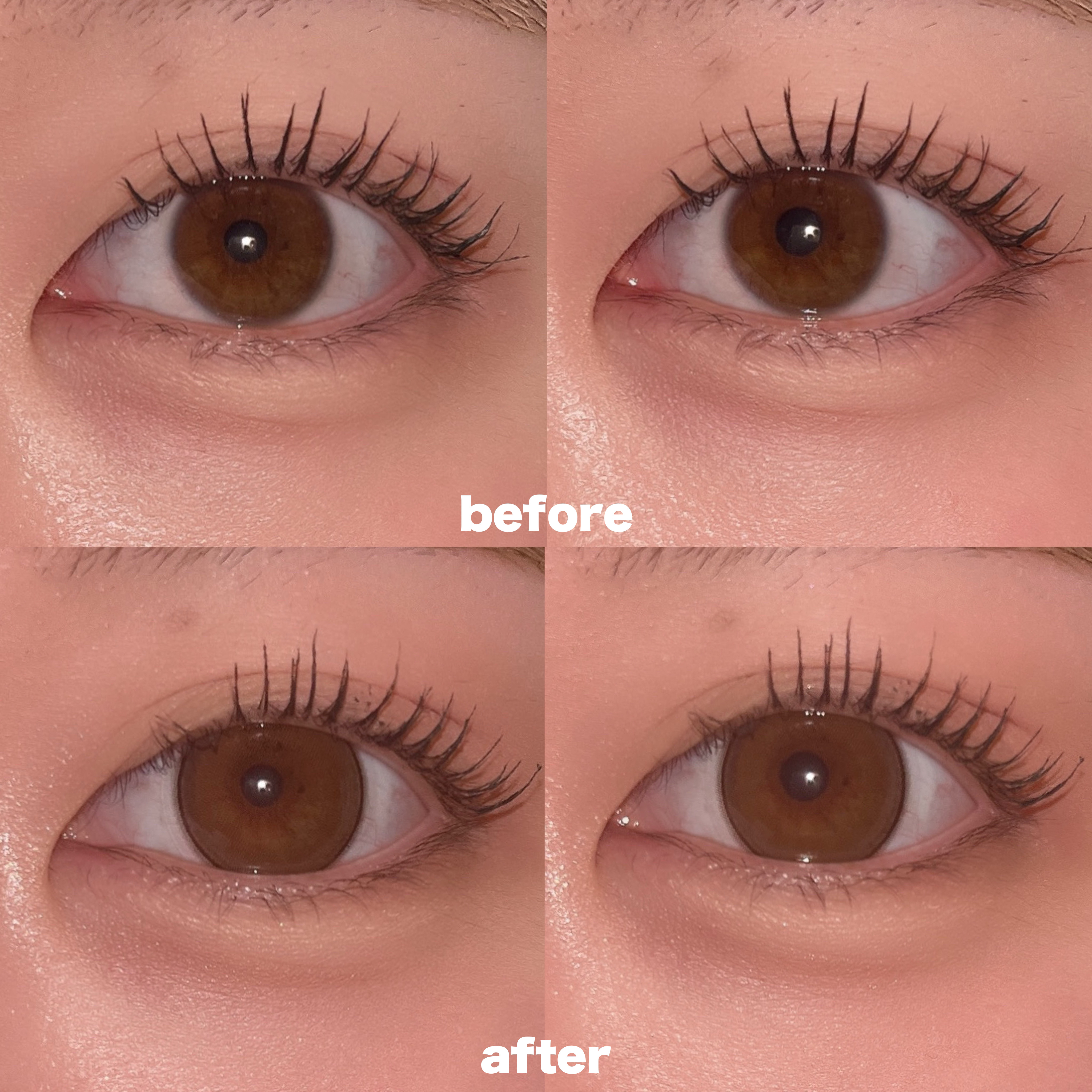 melady 1day アイドルリング/melady/ワンデー（１DAY）カラコンを使ったクチコミ（2枚目）