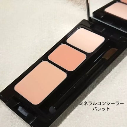 ミネラルコンシーラーパレット/エトヴォス/パレットコンシーラーを使ったクチコミ(2枚目)