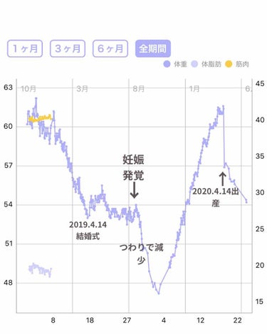 あやめろ🧸💜 on LIPS 「2018.11〜2019.4.14の結婚式まで約5ヶ月でMAX..」（3枚目）