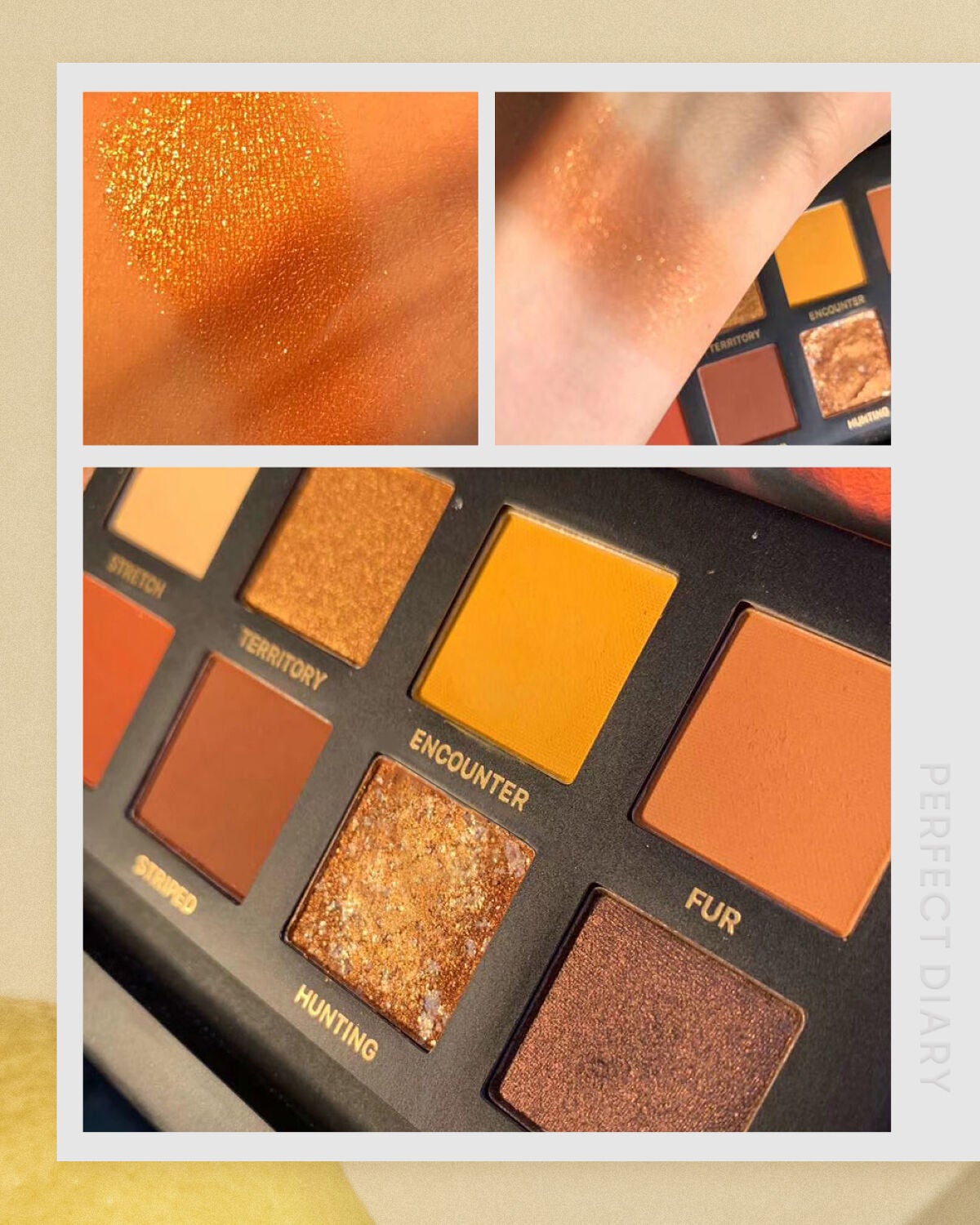 エクスプローラ12色 動物アイシャドウパレット/PERFECT DIARY/アイシャドウパレットを使ったクチコミ(1枚目)