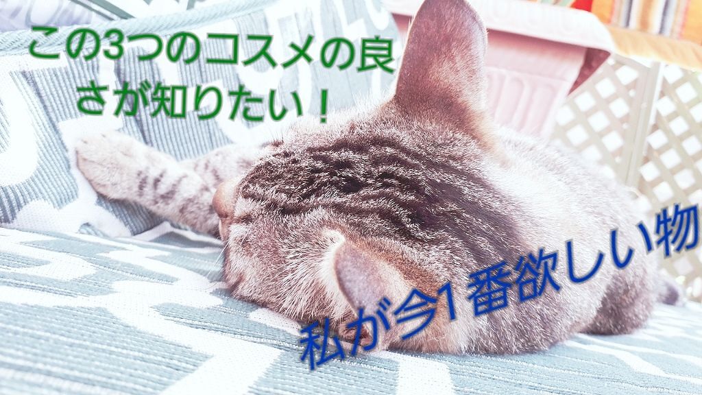 クリームハイライター/キャンメイク/クリームハイライトを使ったクチコミ（1枚目）