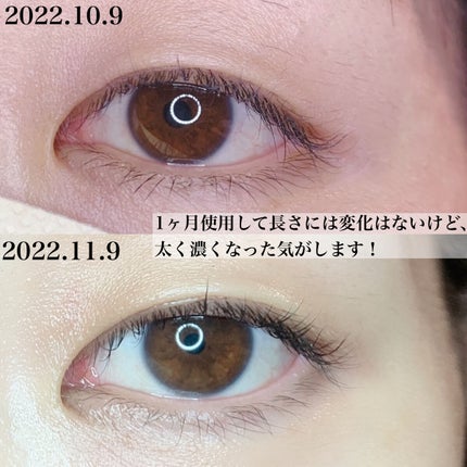 SCラッシュセラム /ACTIVART/まつげ美容液を使ったクチコミ(3枚目)