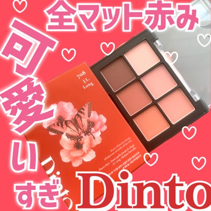 ブラーフィニシュシャドウパレット/Dinto/アイシャドウパレットを使ったクチコミ(1枚目)