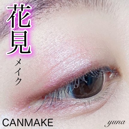【旧品】パーフェクトスタイリストアイズ/キャンメイク/アイシャドウパレットを使ったクチコミ(1枚目)