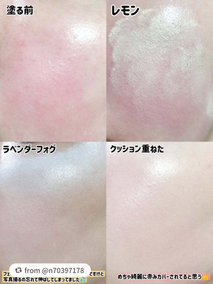 コンシールブレンダーパレット/LUNA/パレットコンシーラーを使ったクチコミ(8枚目)