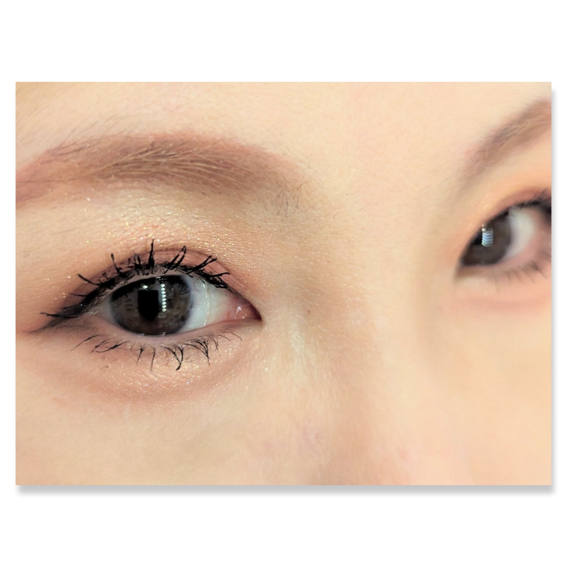 ムードオンアイシャドウ/Lilytone/アイシャドウパレットを使ったクチコミ（2枚目）