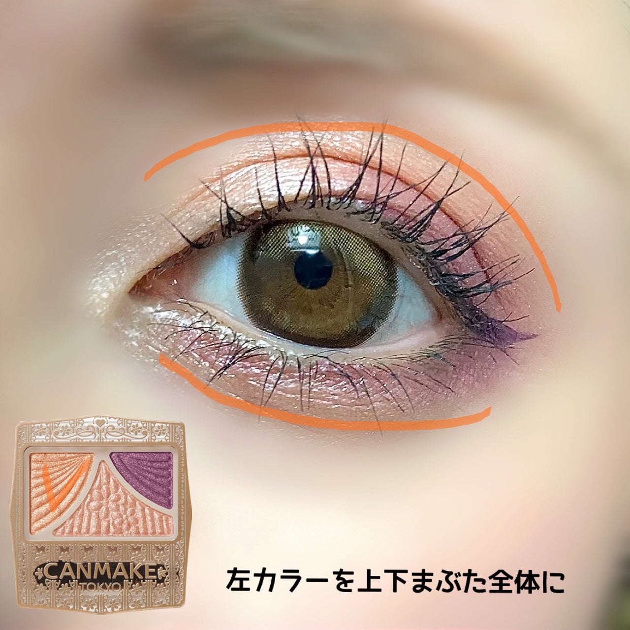 ジューシーピュアアイズ/キャンメイク/アイシャドウパレットを使ったクチコミ(2枚目)