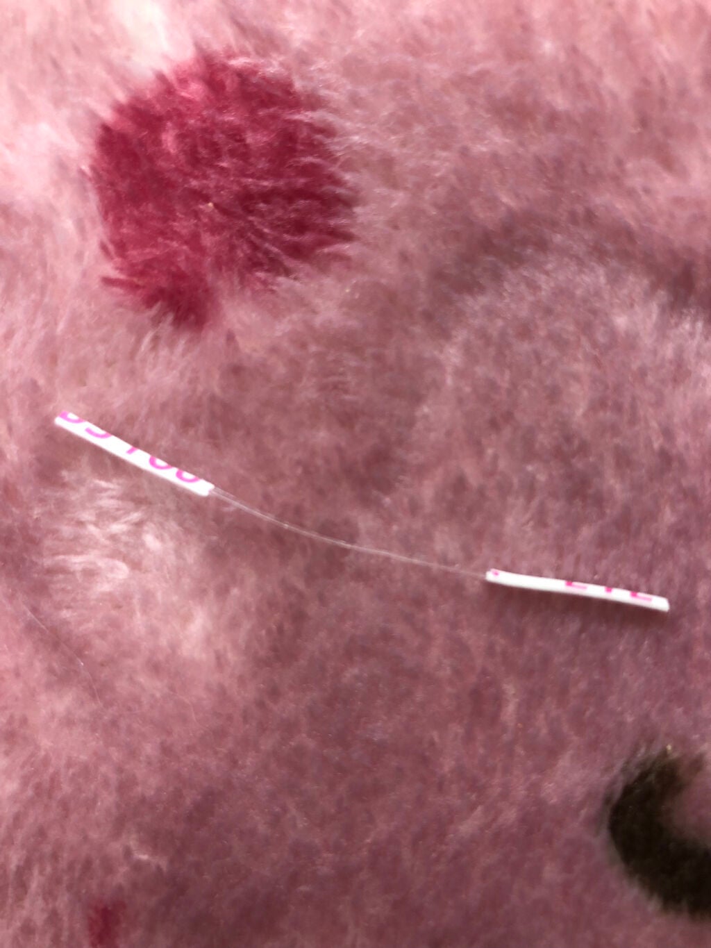 アイニージュー!ふたえファイバー スタンダード/コスメプランニング/二重まぶた用アイテムを使ったクチコミ(6枚目)