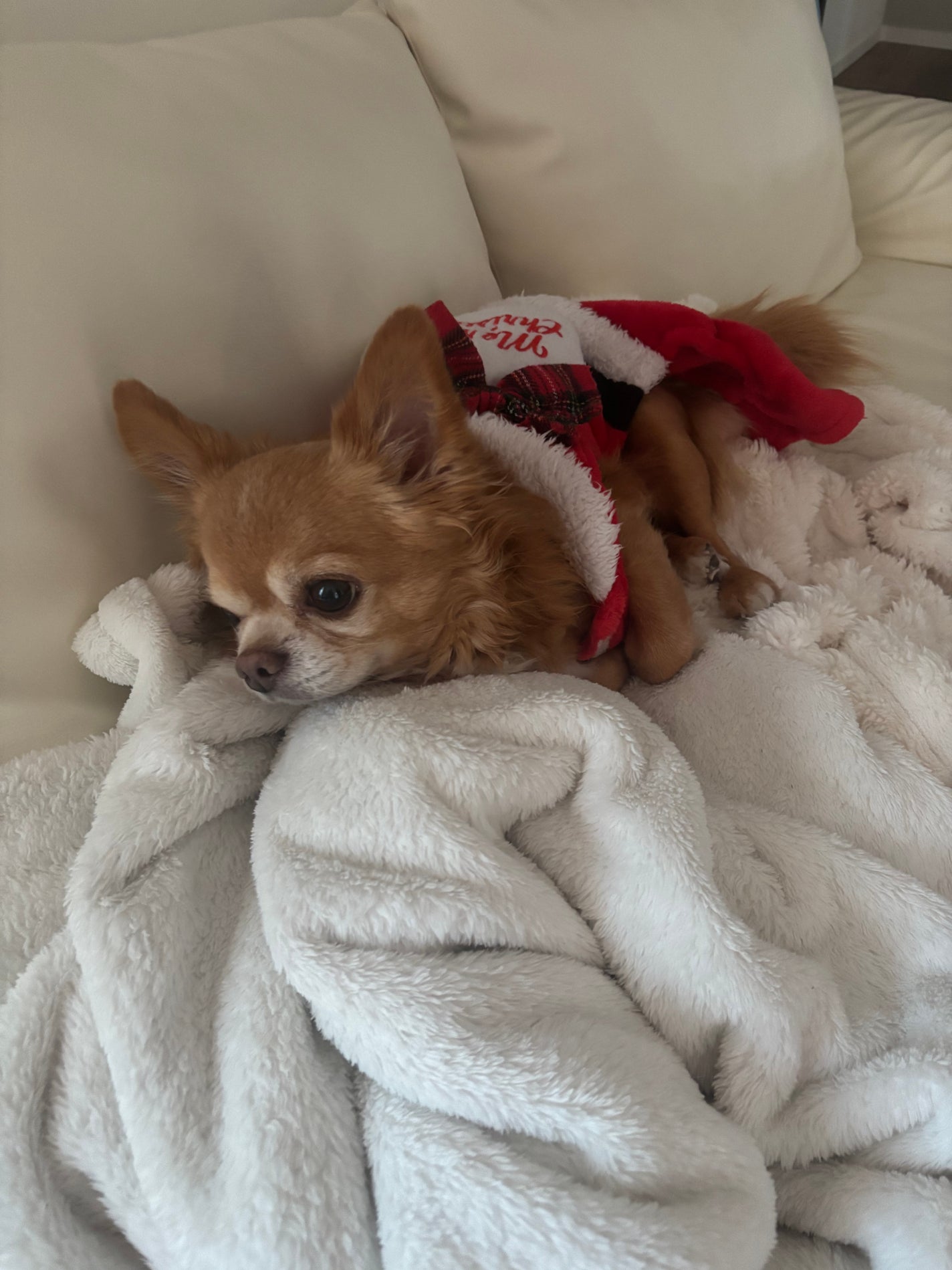 CAFE NOBLE SCENTED CANDLE/その他を使ったクチコミ(10枚目)