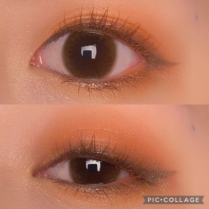 リアルクローズシャドウ/excel/アイシャドウパレットを使ったクチコミ(6枚目)