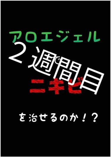 マイルド＆モイスチャーアロエジェル/ネイチャーリパブリック/ボディローションを使ったクチコミ（1枚目）