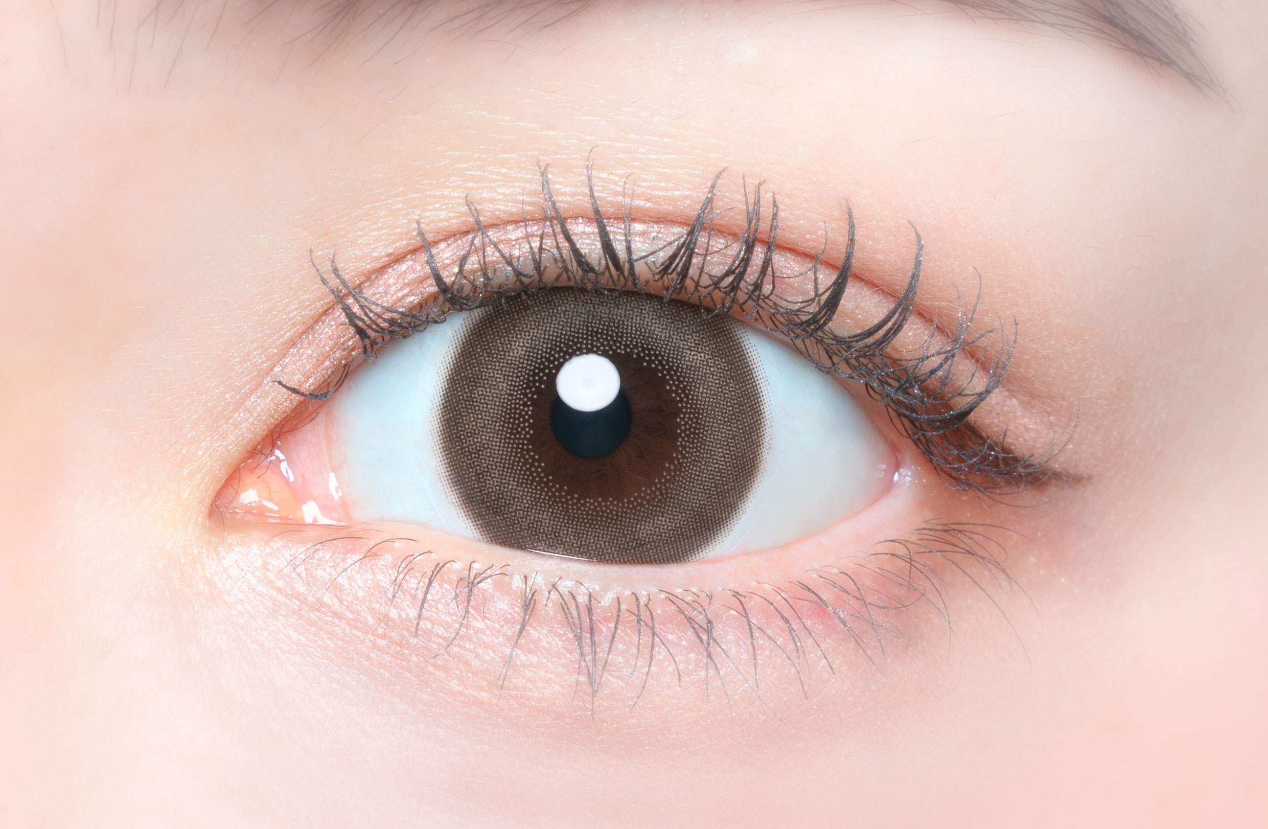 FLANMY TORIC 1day キャラメルパイ