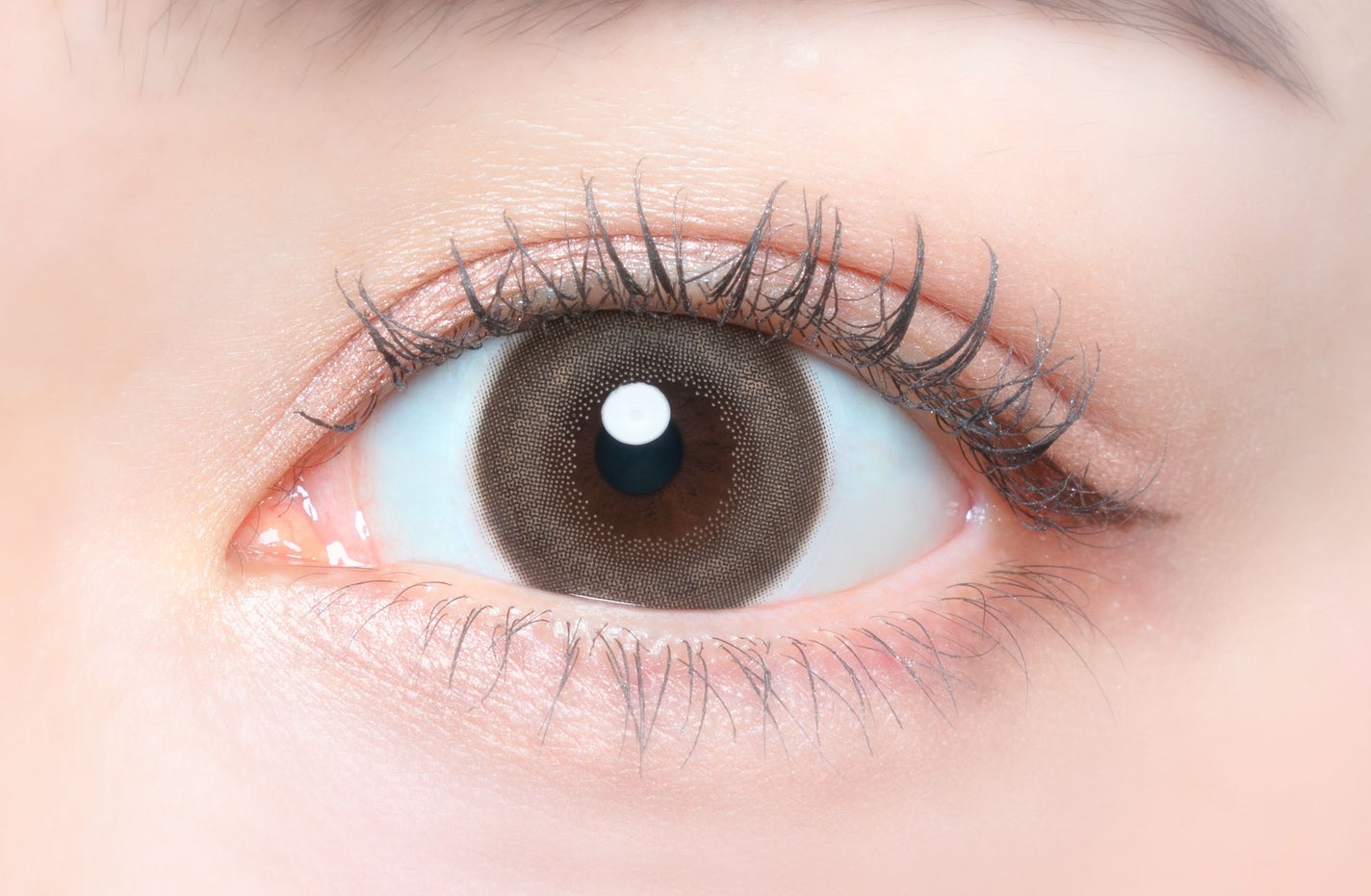 FLANMY TORIC 1day キャラメルパイ