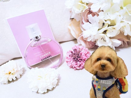 チャンス オー タンドゥル オードゥ トワレット(ヴァポリザター) 100ml/CHANEL/香水(レディース)を使ったクチコミ(1枚目)