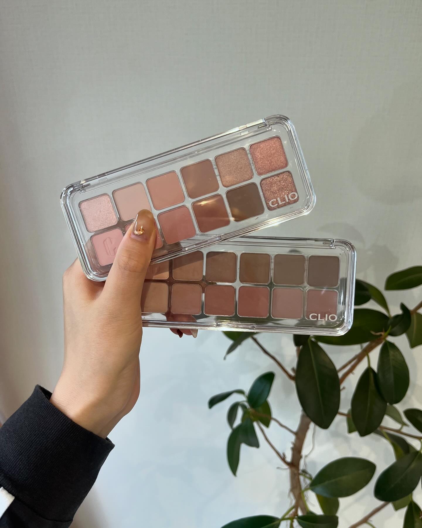 プロ アイ パレット エアー/CLIO/アイシャドウパレットを使ったクチコミ（1枚目）
